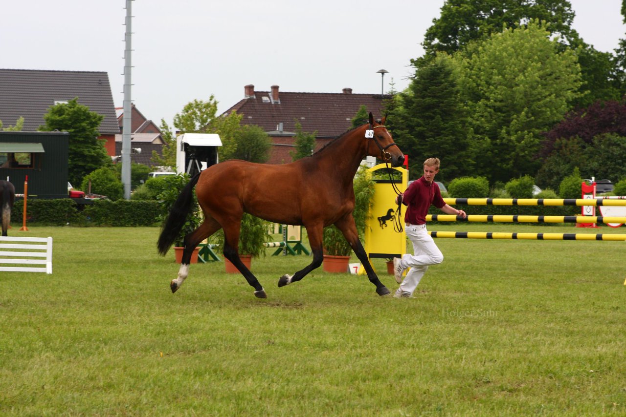 Bild 87 - Elmshorn am 9.6.10